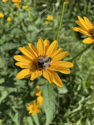 Rachel Carson Conservation Park