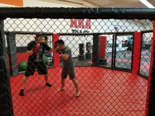 Training in the "Cage"