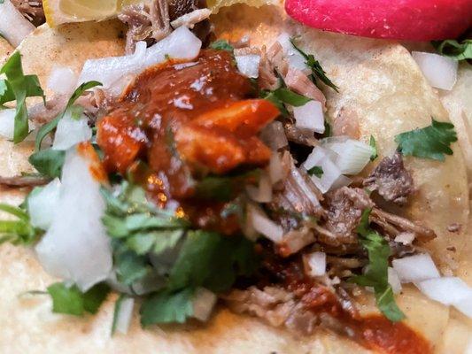 Taco de Carnitas