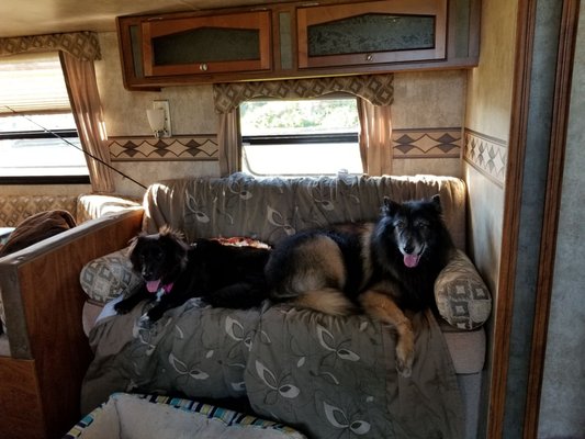 Camping life with her big brother TJ!!