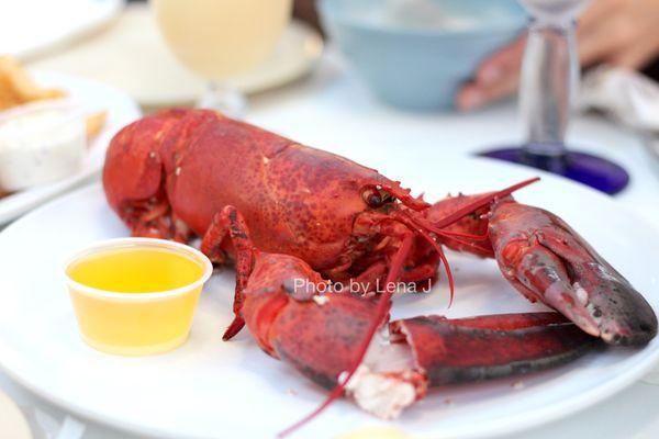 1-1/4 lb. Maine lobster ($35 MP)