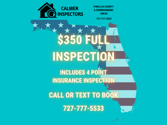 $350 Full Home Inspection with 4 Point Insurance Report - (1500 sq. ft. homes or less)