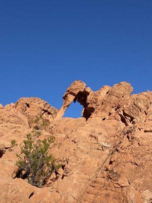 Elephant Rock at Valley of Fire