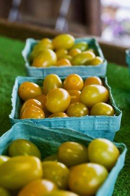 🍅The Tomato Barn🍅