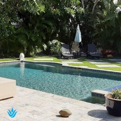 Tropical Landscape Surrounding a Belleair Bluffs Pool