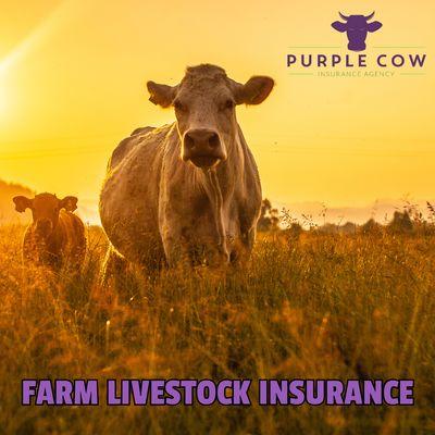 Farm insurance in Laurel, MT