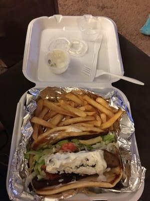 The gyro platter with fries.