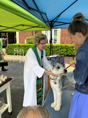 Outside Animal Blessing Service