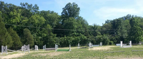 Large grass outdoor ring