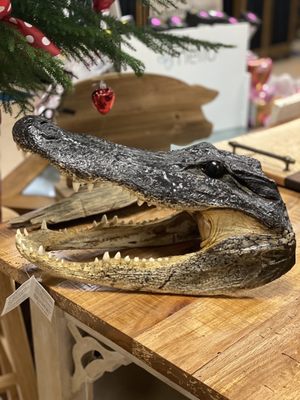 The Market at Broussard Commons  Alligator Heads ( very rare to find )