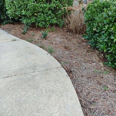 North Georgia Lawn