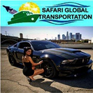 Safari Glbal Transportation