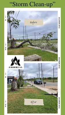 Storms can be devastating, wreaking havoc on your property. Arboreal responds to emergency removals 24/7.