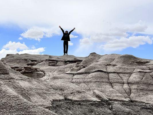 Bisti/De-Na-Zin Wilderness