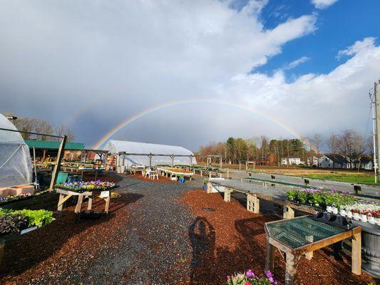 Pot of gold somewhere out there...