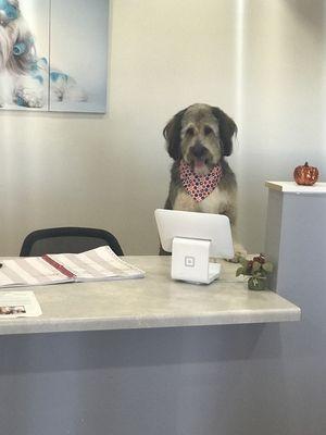 Cooper playing receptionist