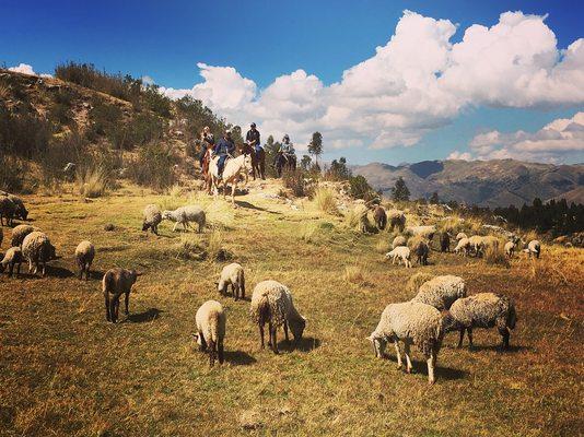 Cusco Ruins tour