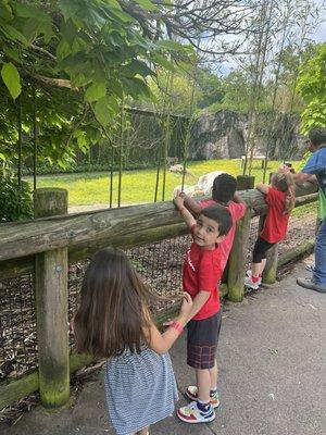 Zoo field trip!