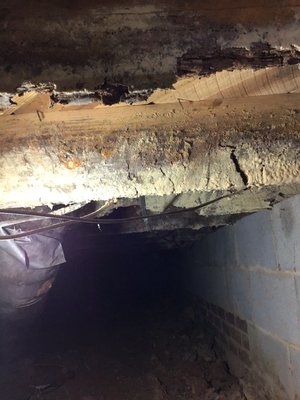 This is extremely bad crawl space that was caused by mold and moisture getting under these are the floor joist 20 in total