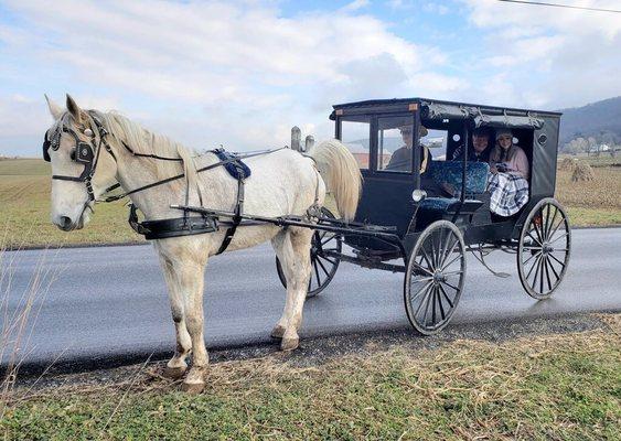 Our beautiful carriage ride!