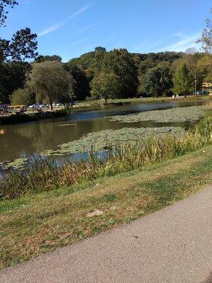 View of the Pond