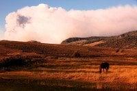 The Bitterroot Ranch in Dubois, Wyoming