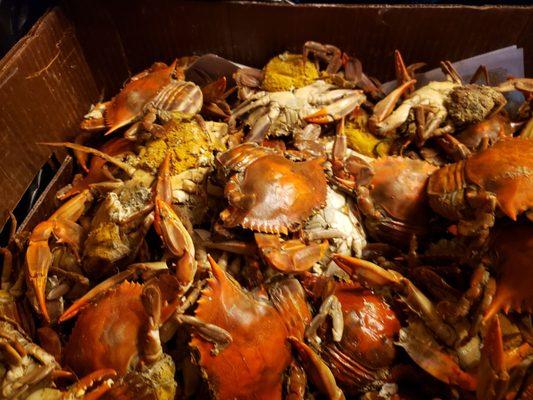 Illegal crabs sold to the public