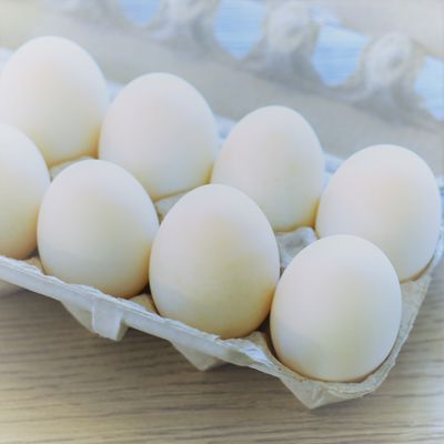 Our Jumbo Grade A duck eggs taste fantastic and are great for baking cakes, pies, and pastries.