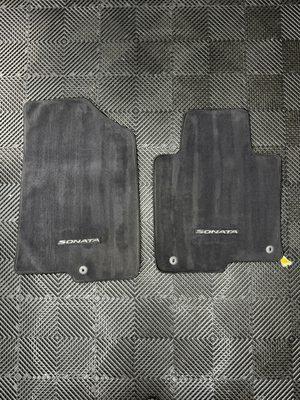 Interior detail - Cleaning and extraction floor mats