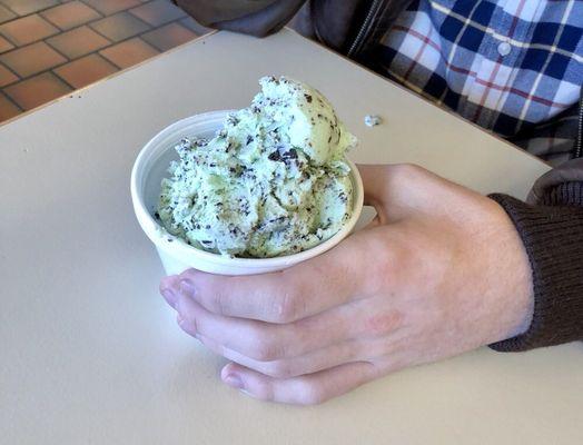 Mint Chocolate Chip in a cup - 3 scoops!