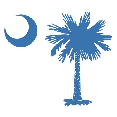 Palmetto Roofers icon