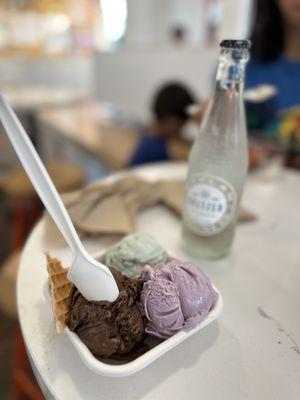 Darkest chocolate, berry lavendar, and chocolate chip mint. Ordered a sparkling water so I could tip when no cash. Thanks Yelp and Jeni!