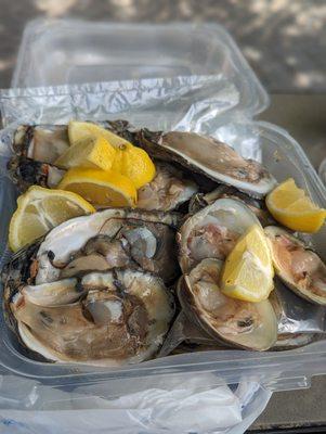 Raw Oysters and clams