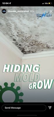 Mold can cause serious health risks, call Thunder Restoration 866-420-6653