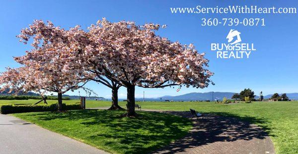 Buy or Sell Realty Inc.  Bellingham, WA