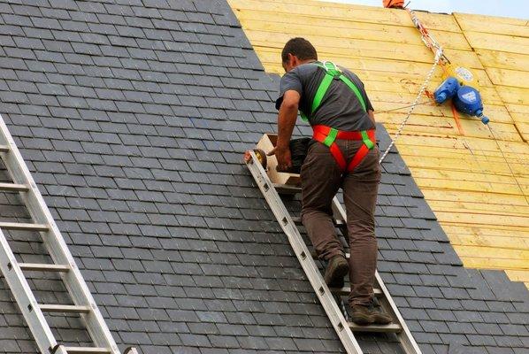 Shingle Roof