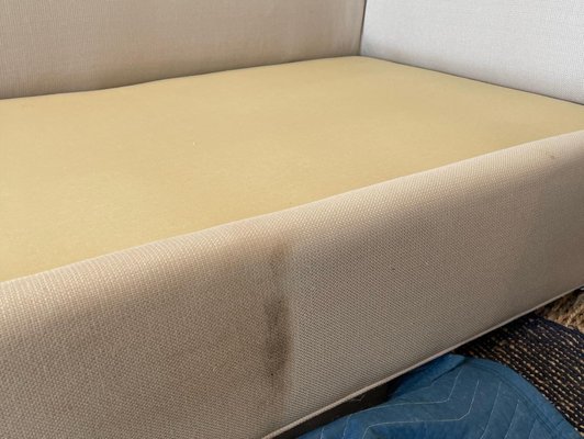 Upholstery Cleaning