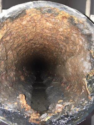 8 inch sewer main before Nu Flow. Sewer had started to leak into basement due to cracks in the cast iron.