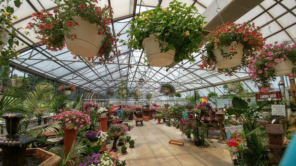 Inside the green house