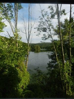 View from White Lotus Massage from massage table!