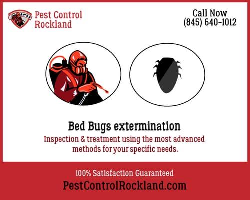 Bed Bugs Extermination