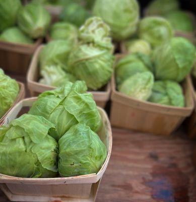 Cabbage Sprouts  July 22, 2023 - Henry's Farm