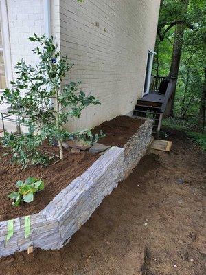 More raised bed.