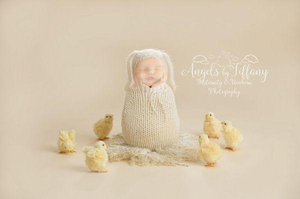 Newborn session