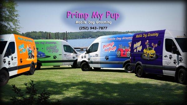 Primp My Pup Mobile Dog Grooming brings professional dog grooming right to your door!