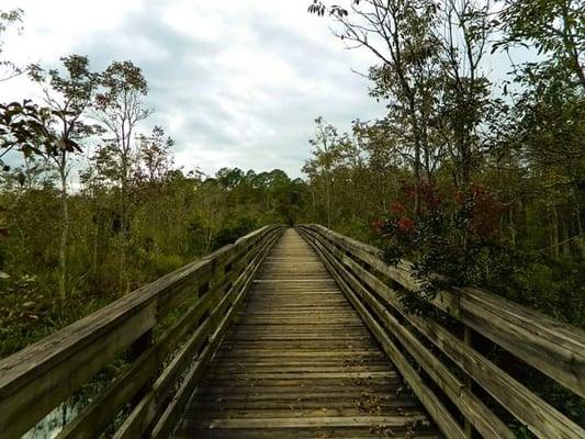 Boardwalk to Kayak Launch over marsh.