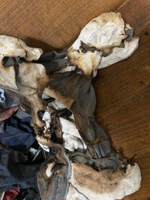 BURNED CLOTHES FROM DROP OFF SERVICE