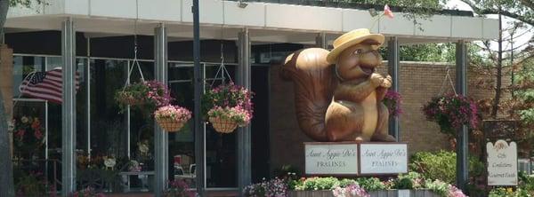 Agnes, the hat-loving squirrel, sits in front of Aunt Aggie De's Pralines retail store across from the courthouse in Sinton, TX