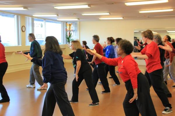 Taoist Tai Chi the Art of Wellness