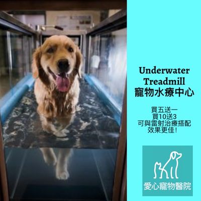 Underwater Treadmill for dogs